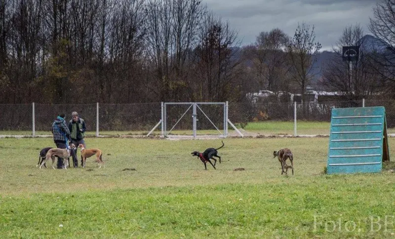 12249784 10207747467706226 1145989073176267290 n