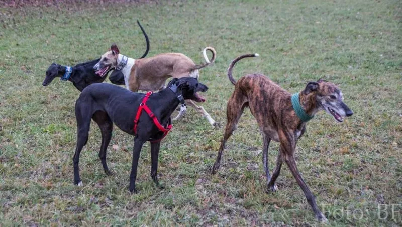 12249847 10207747468386243 4084802539179960362 n