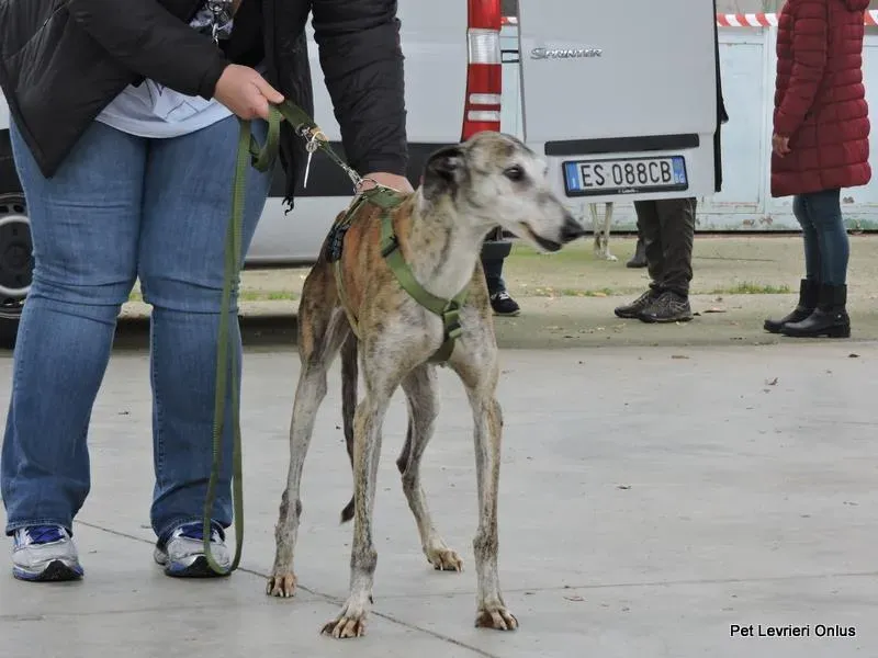 12249927 918530381564151 1605230284708631843 n