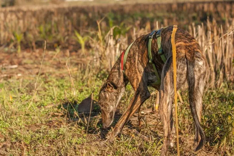 12249968 10207272173469992 8531500416268772755 n