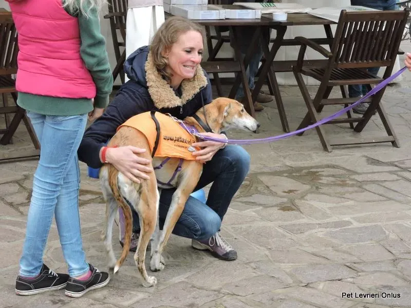 12250073 918535864896936 1159726722895009135 n