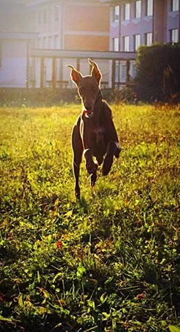 12250127 921664471250742 1669779300765625989 n