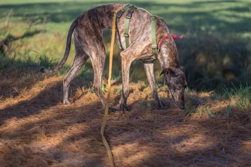 12274217 10207272170469917 9041688235850035010 n