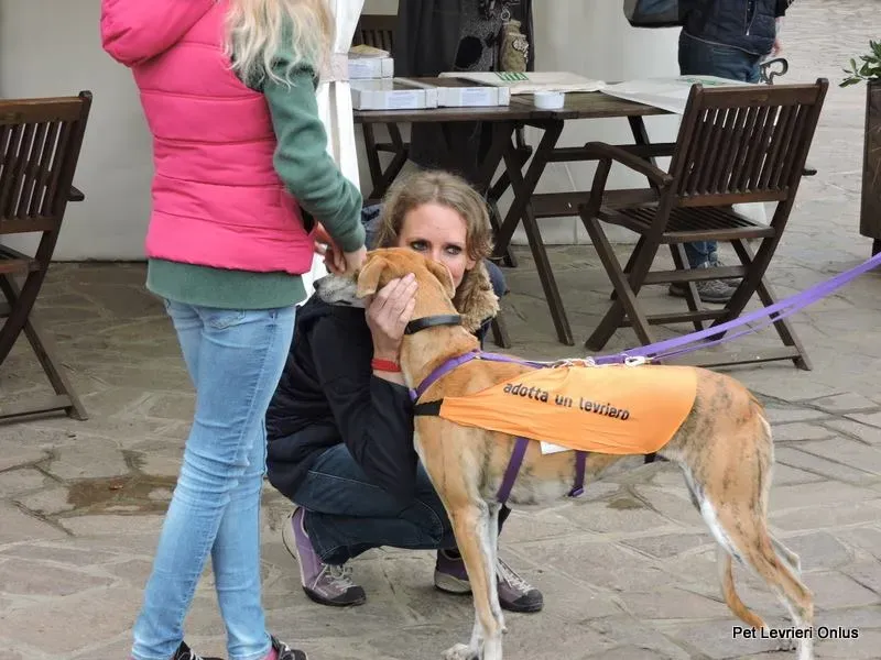 12274390 918535811563608 9103847393179340830 n