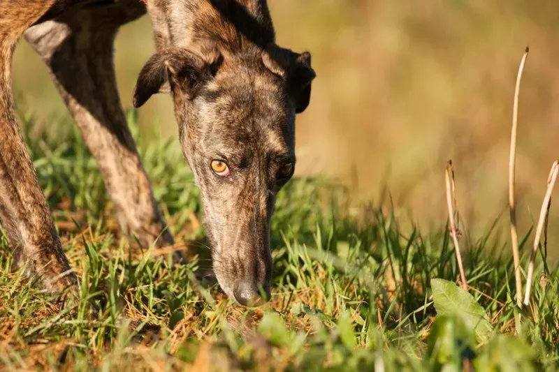 12274487 10207272176270062 113920409983084533 n