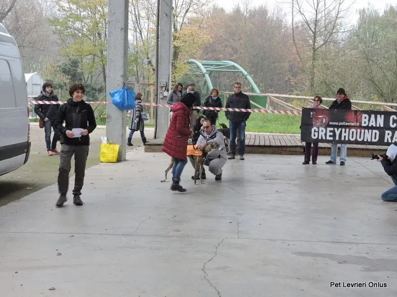 12274706 918532358230620 24049091134973052 n