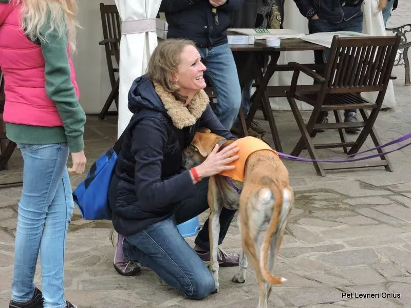 12274750 918535974896925 3356708918090487965 n