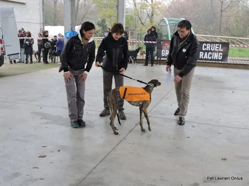 12274759 918531221564067 1432597913703873301 n