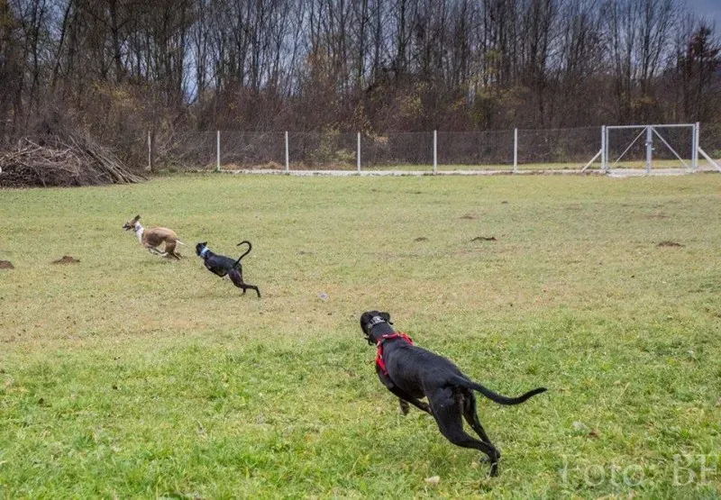 12278681 10207747468626249 6204504826096579823 n