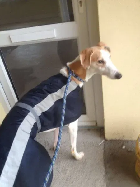 12283006 10153054719565194 896507154 n