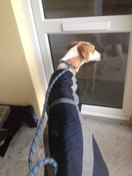 12283041 10153054719650194 1586201159 n