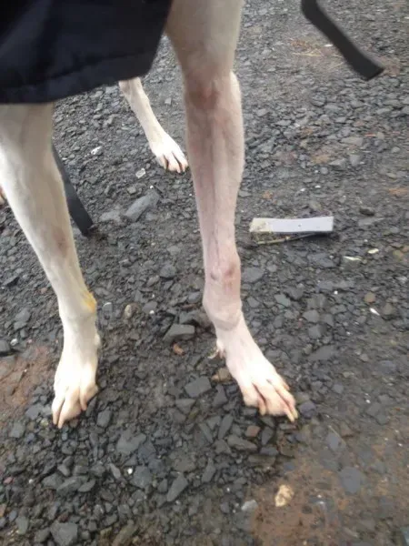 12283265 10153054719820194 445294372 n