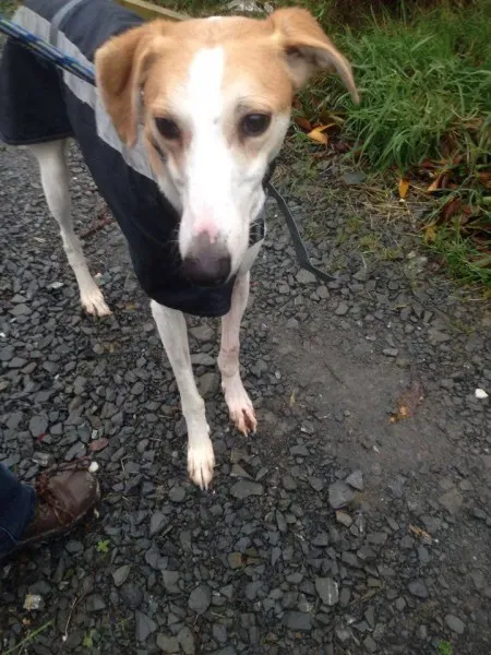 12285935 10153054719505194 542505175 n