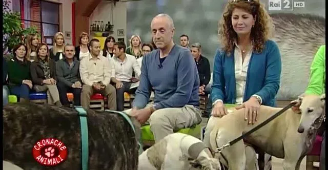 12289501 10206250902923901 5351791525455466141 n