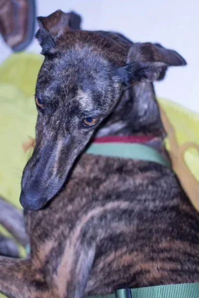 12291051 10207340480297620 2105975964804102590 o