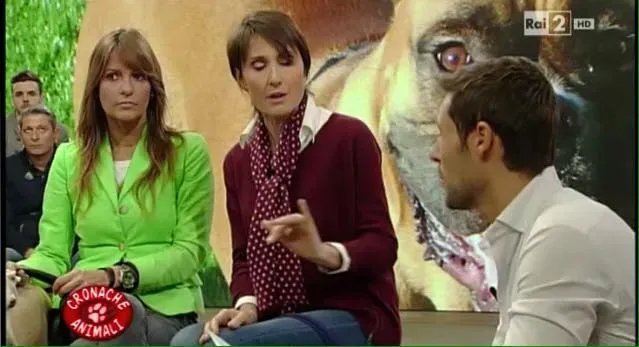 12294717 10206250903803923 2355999683311961379 n