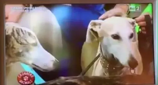 12294791 10206248698068781 4775946167858004244 n