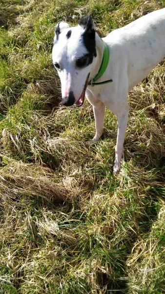 12294990 10207715140010071 2060770491 o