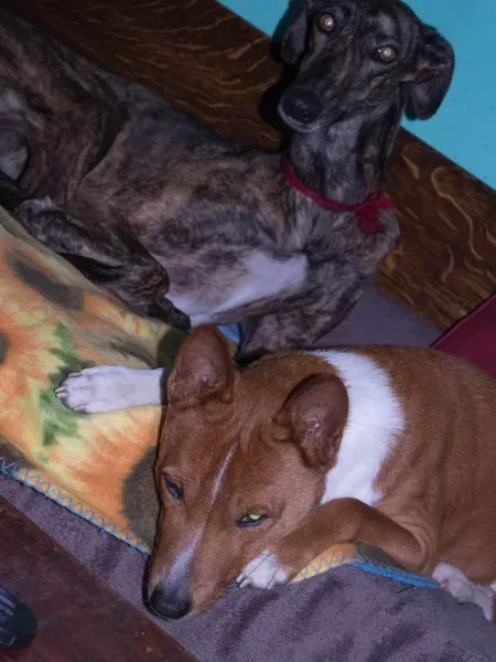 12299121 10207340481017638 2630463852952271769 n