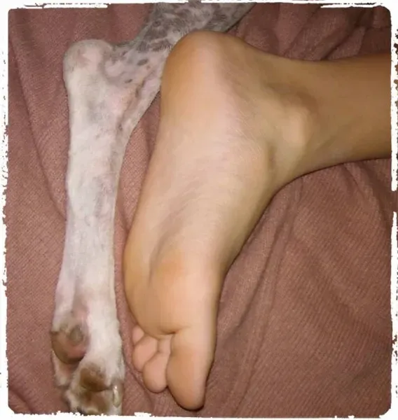 12308514 1619532958313002 3970538577428786272 n