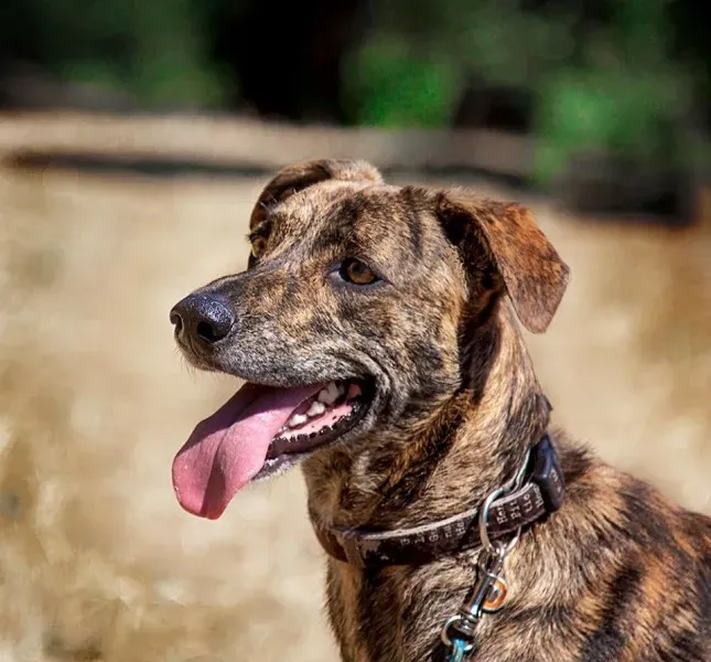 12308613 10207707523118753 3491610988386837812 n