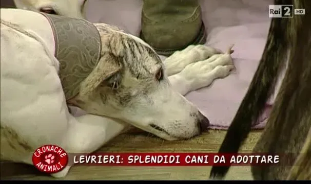 12308679 10206250906203983 863850451959230864 n