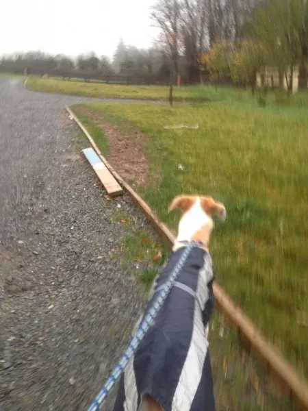 12308993 10153054721005194 2140572610 n