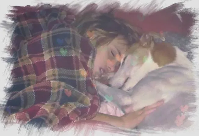 12310455 1619457678320530 5634926591607220473 n