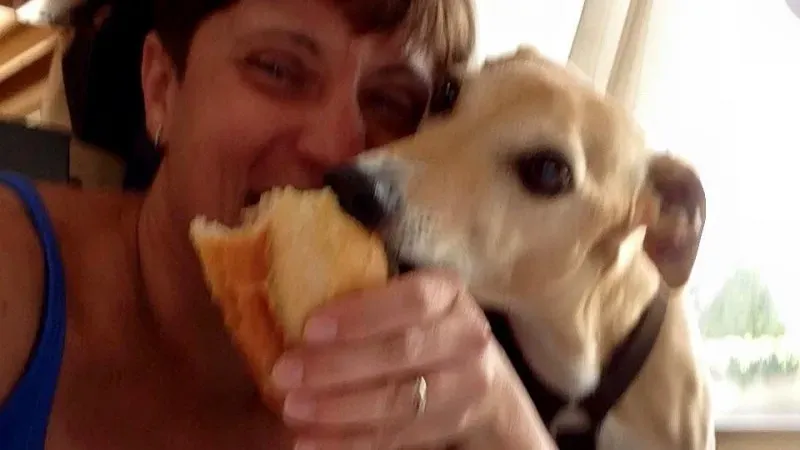 12311120 10205112163865718 518375921401784293 n 1