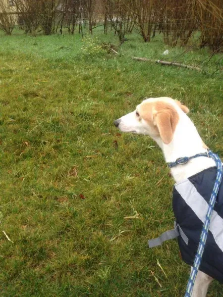 12312389 10153054721110194 276807621 n