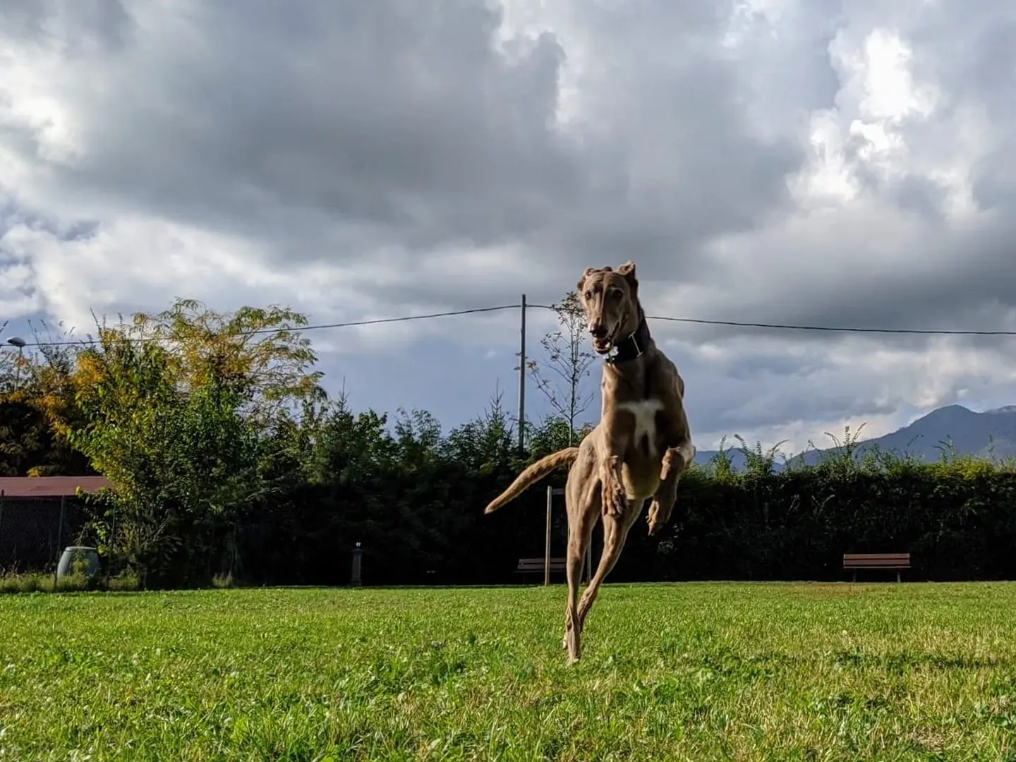 123124226 10157809566847475 5125831053794622724 n