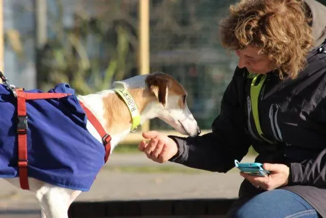 12313935 929738660443323 4604459150316569576 n