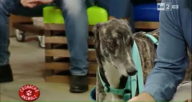 12314020 10206250905043954 2957543086051797338 n