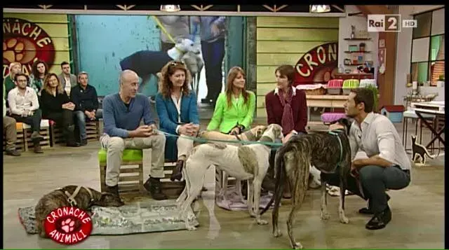 12316605 10206250905683970 5568731976218781864 n