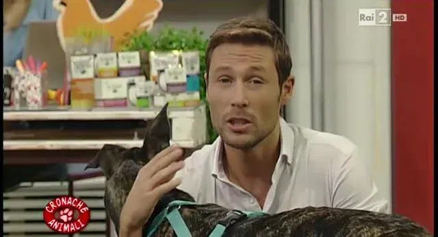 12316680 10206250905803973 2838554034420698151 n