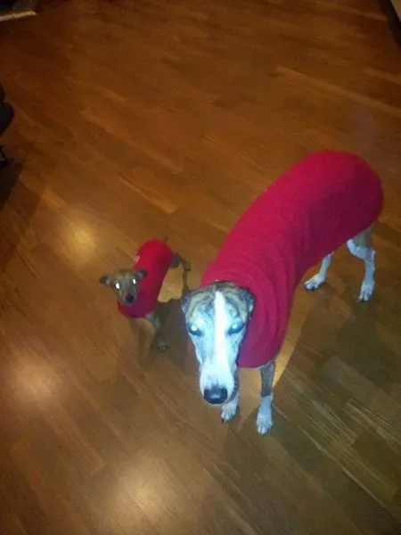 12321163 10207123744124410 2381155918094867507 n