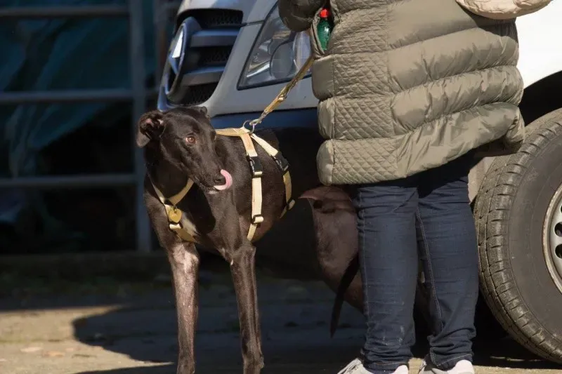 12322435 930565117027344 1276287611981770734 o