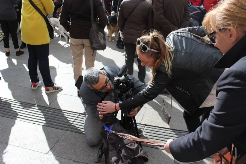 12322768 866961640098735 6597961055330900722 o