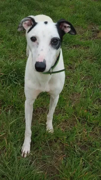 12325508 10207714271348355 1360279018 o