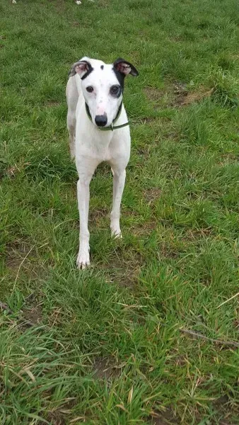 12325730 10207714271708364 2121027137 o