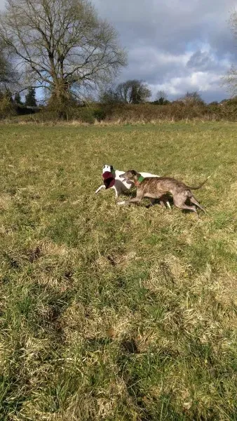 12325925 10207715140450082 84699691 o