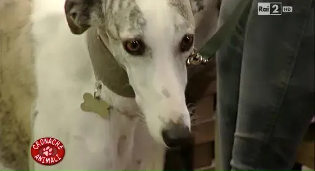 12341024 10206250902163882 3530071931504606838 n