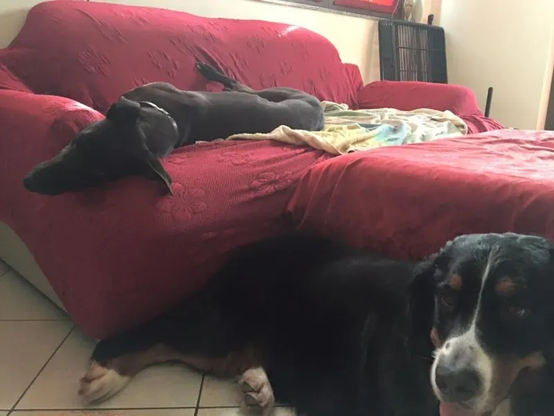 12341055 10208452867623289 8114803410572038750 n