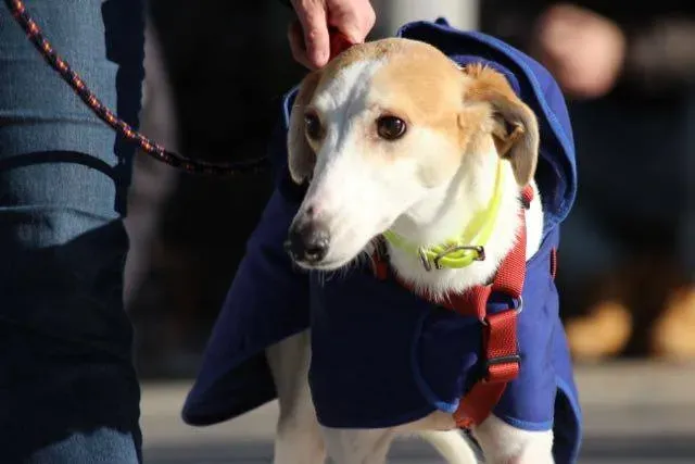 12341207 929738727109983 420810527373949538 n