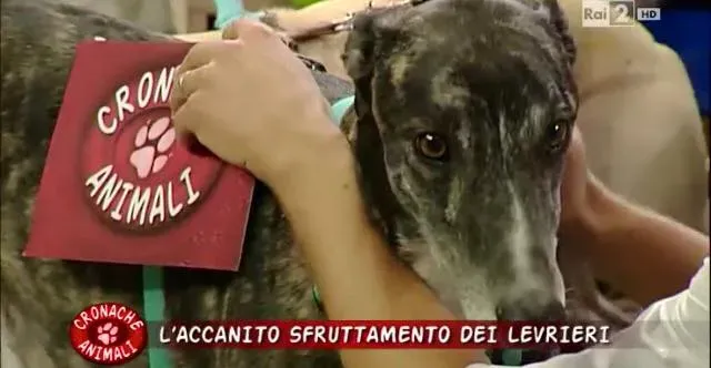 12341364 10206250904723946 4411088414208208562 n