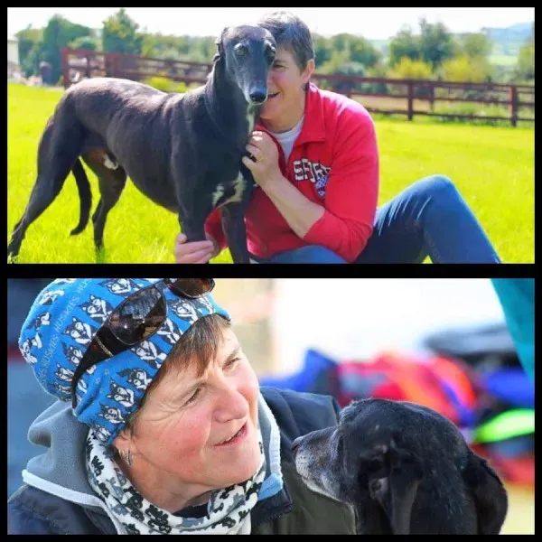 12341375 930595423690980 6615390681818378412 n