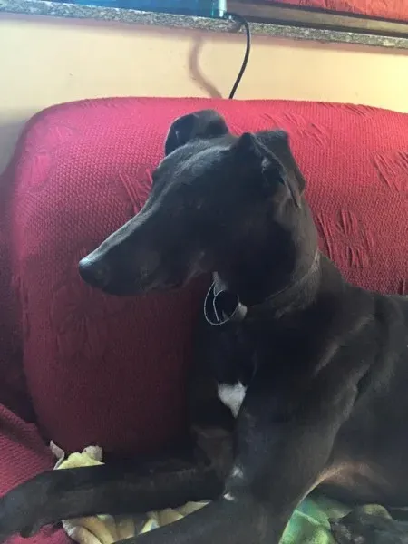 12341537 10208448074543465 3143937823702782697 n