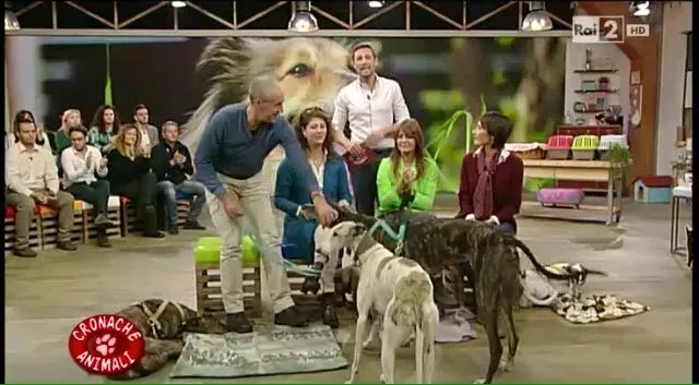 12342651 10206250906683995 157844646747679892 n