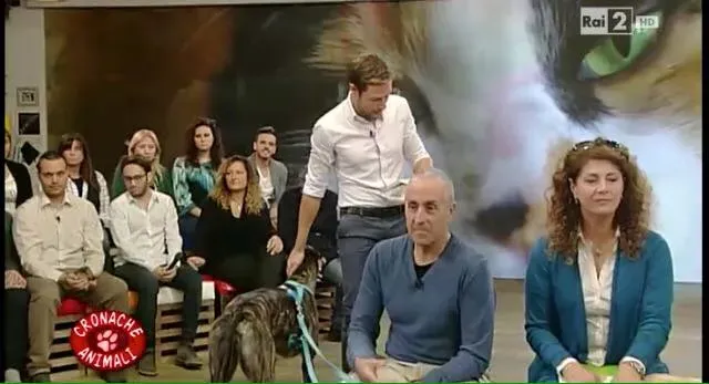 12345468 10206250902563892 6071097446469295864 n