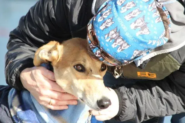 12345645 929738107110045 9177644394839793383 n